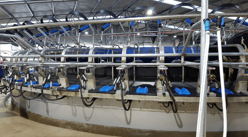 Robotic dairy system